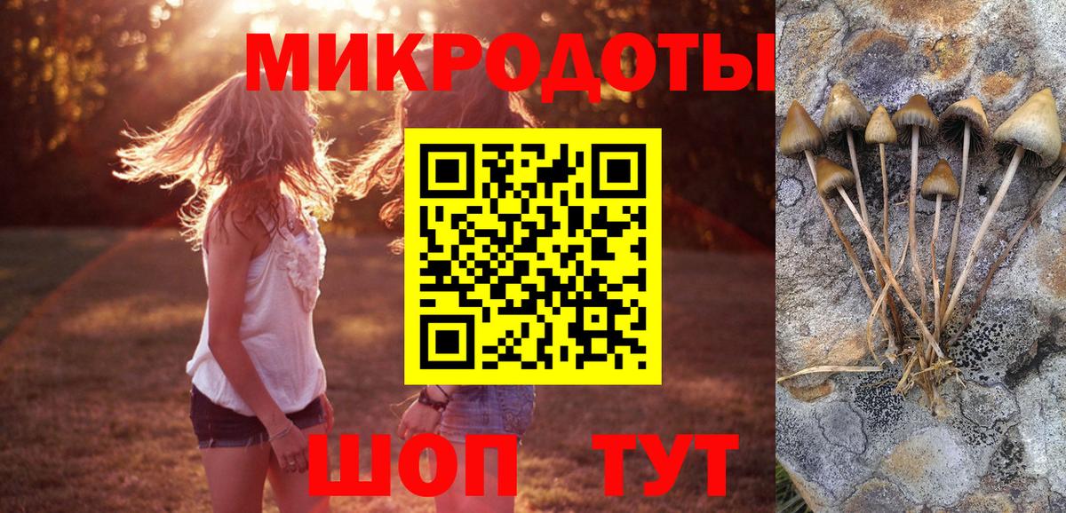 Галлюциногенные грибы прущие грибы Псков
