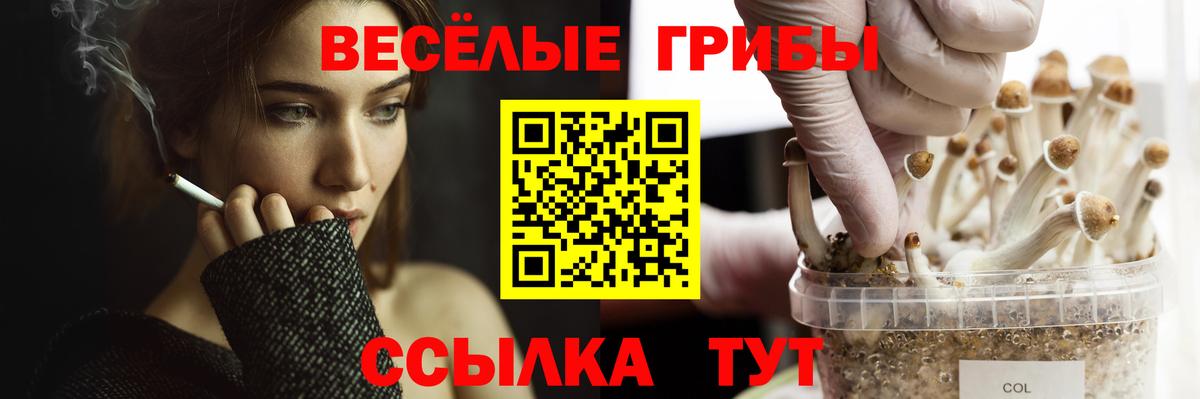 Псилоцибиновые грибы MAGIC MUSHROOMS  Галлюциногенные грибы MAGIC MUSHROOMS  Псков  Вход с VPN 